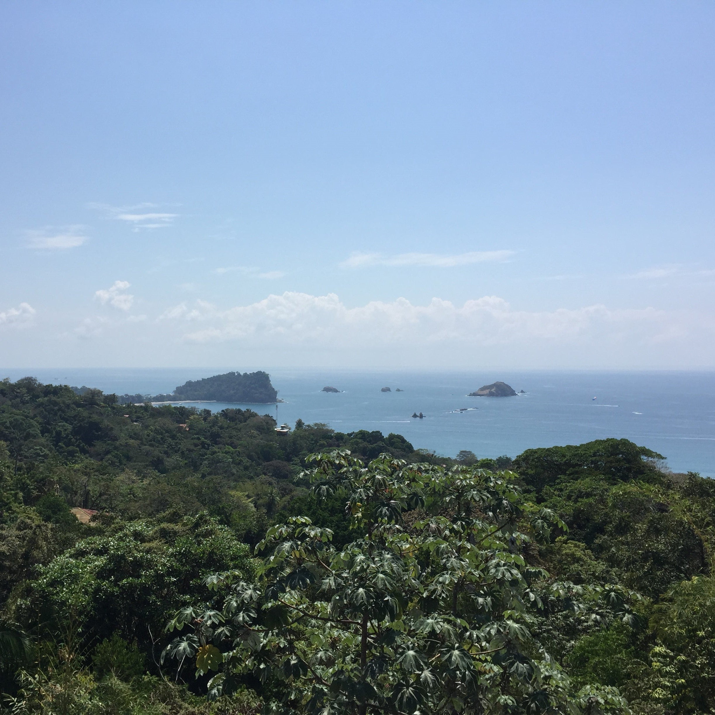 IMG_2546-sq.jpg