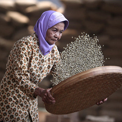 indonesia_66d76173-f701-4465-8230-7fcc48e7e784.jpg